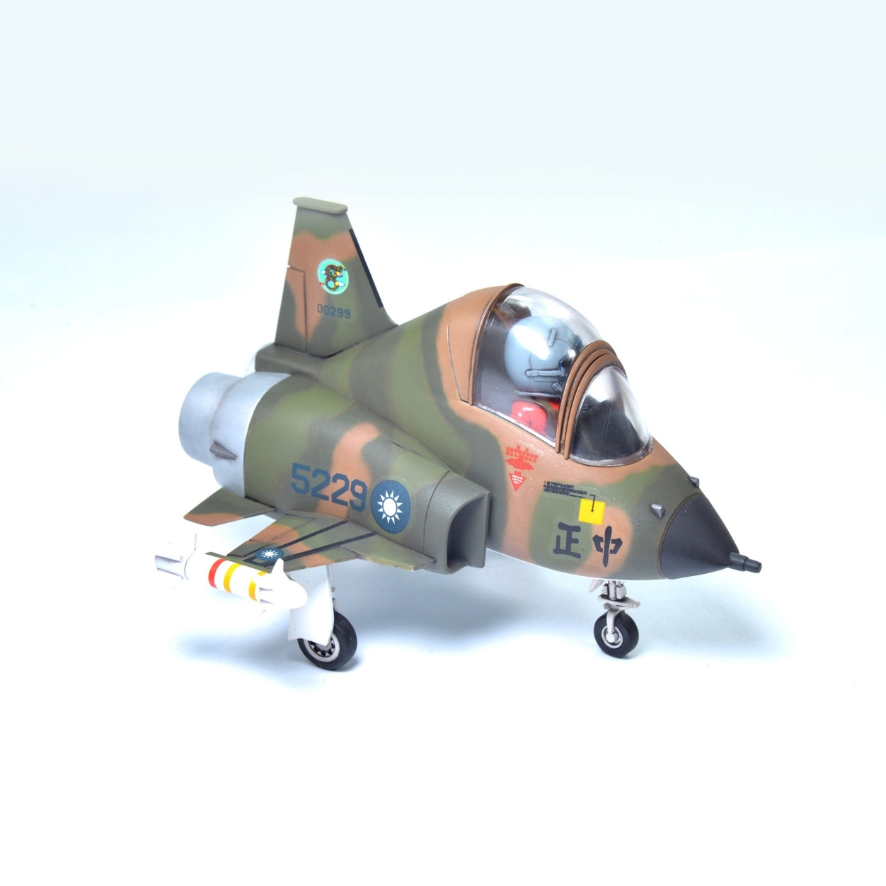 F-5E蛋機模型 圖 5